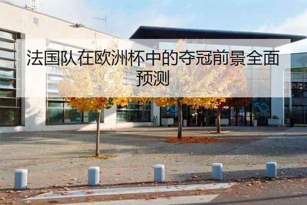 法国队在欧洲杯中的夺冠前景全面预测